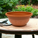 Kit com 15 Vaso Cuia para Rosa do Deserto - 6,6 Litros